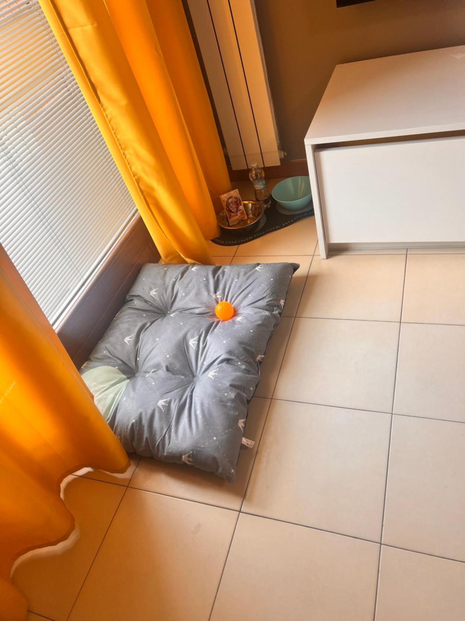 Suite Sinfonia Bergamo Dış mekan fotoğraf